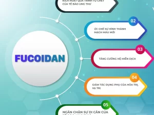 fucoidan-4