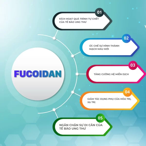 fucoidan-4