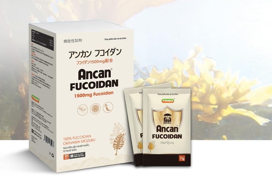 Ancan fucoidan là sản phẩm được chiết xuất từ tảo nâu tự nhiên, giàu fucoidan 