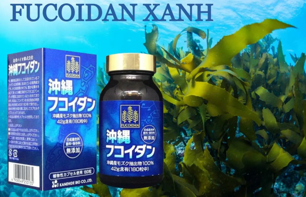  fucoidan xanh tinh khiết