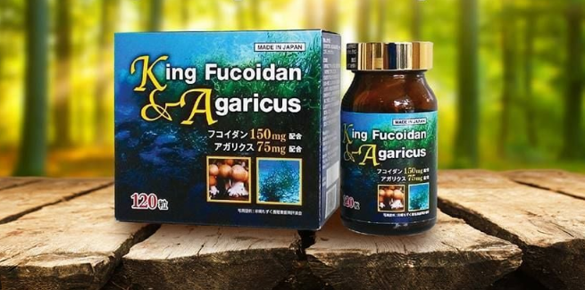 King Fucoidan Agaricus là một trong những dòng fucoidan nổi bật trên thị trường