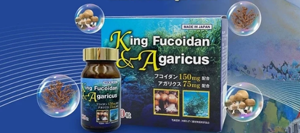 Nên mua King Fucoidan Agaricus tại các nhà phân phối uy tín